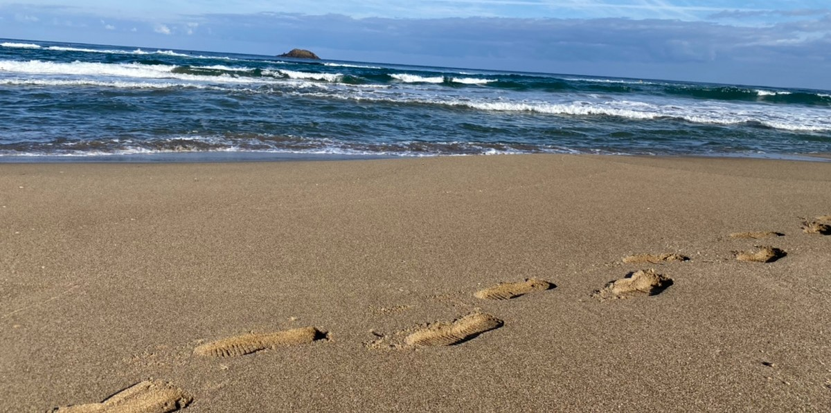 【営業企画】「鳥取に貢献したい」その想いをカタチにする新規事業｜Axisヒトモノガタリvol.44