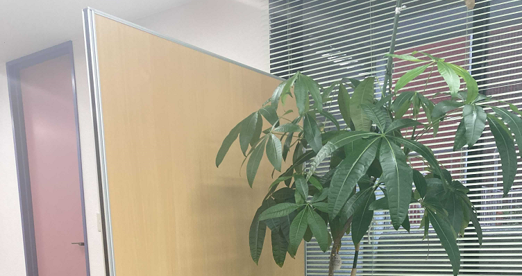 情報セキュリティ：社員への監視