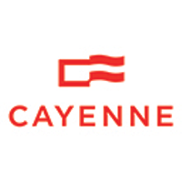 株式会社カイエンの会社情報