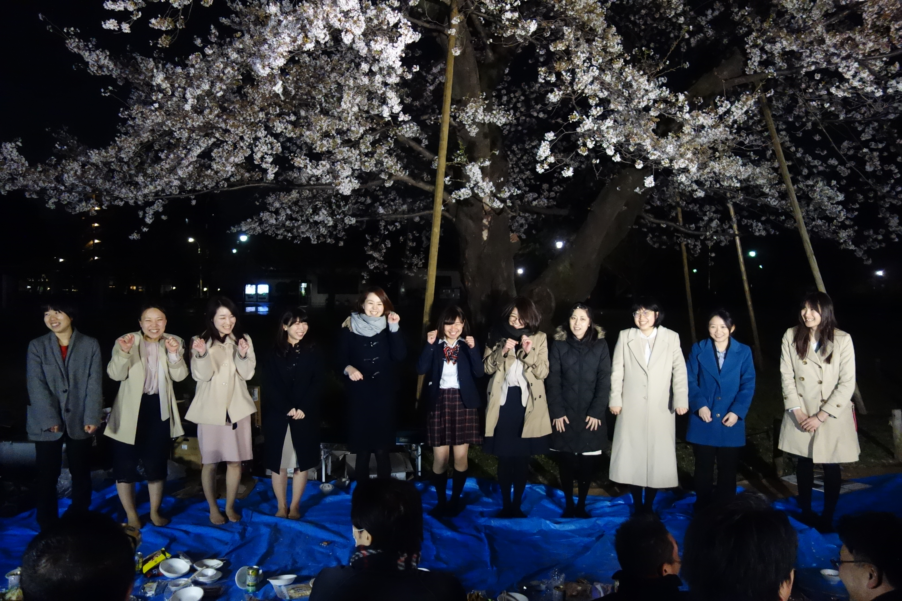 お花見を行いました！