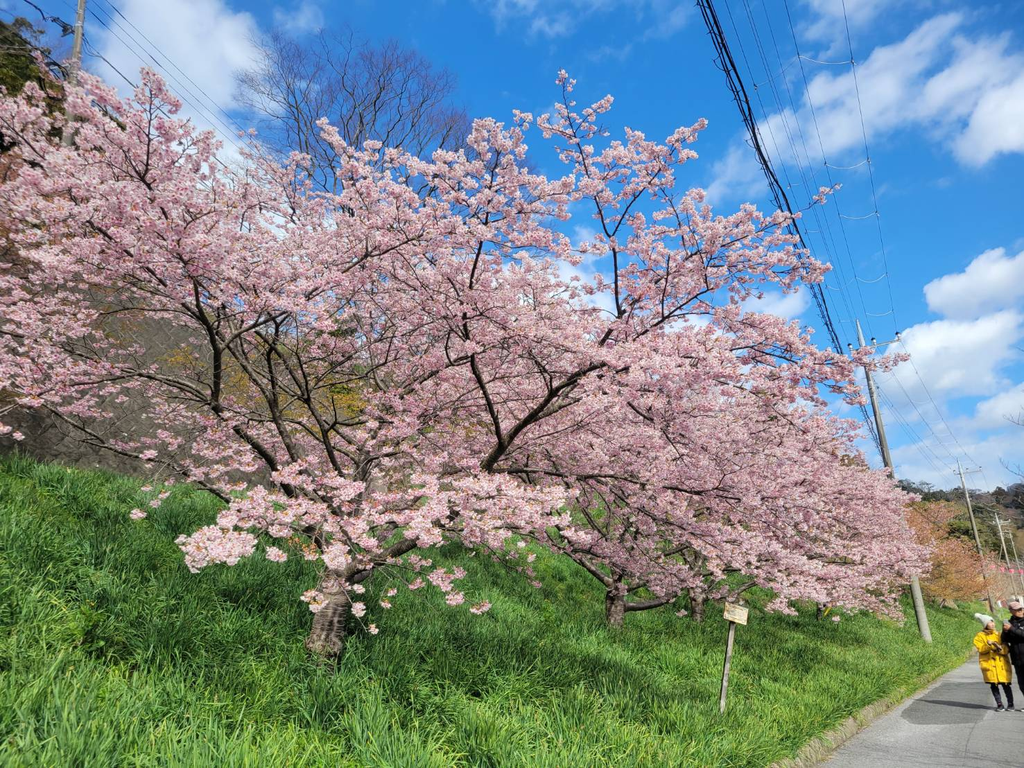 やりがいを感じられるお仕事です（本当に）
