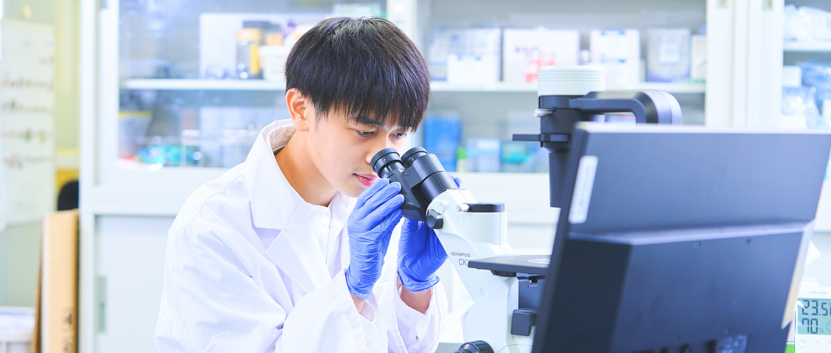 27卒）未来の医薬品をつくる力！｜再生医療 × 細胞培養／東京開催