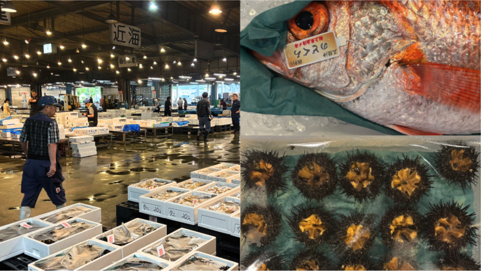 【市場訪問】宮城県・仙台市場に行ってきました！