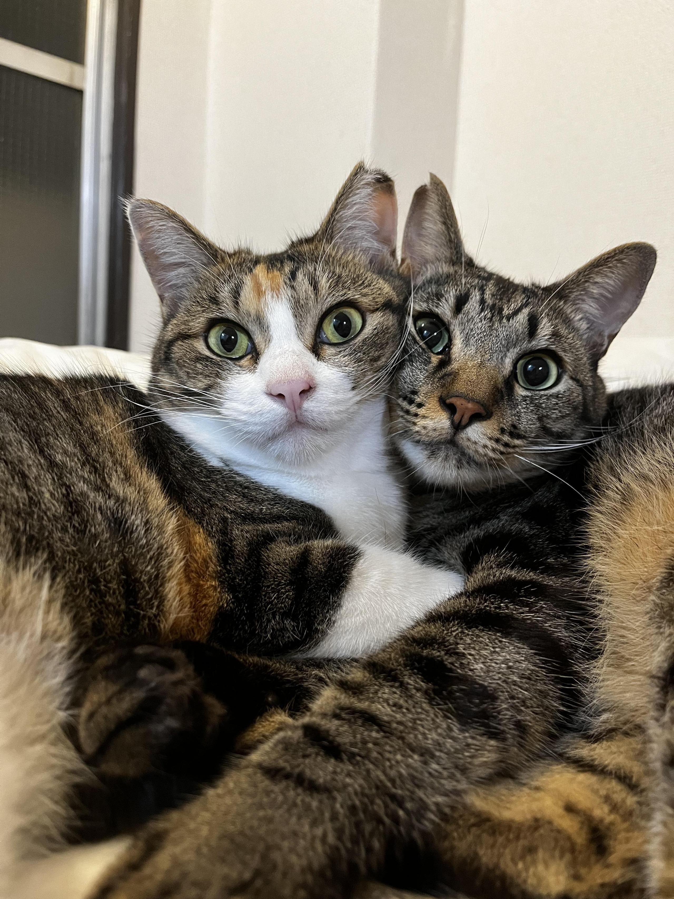 自分を表す3つの言葉