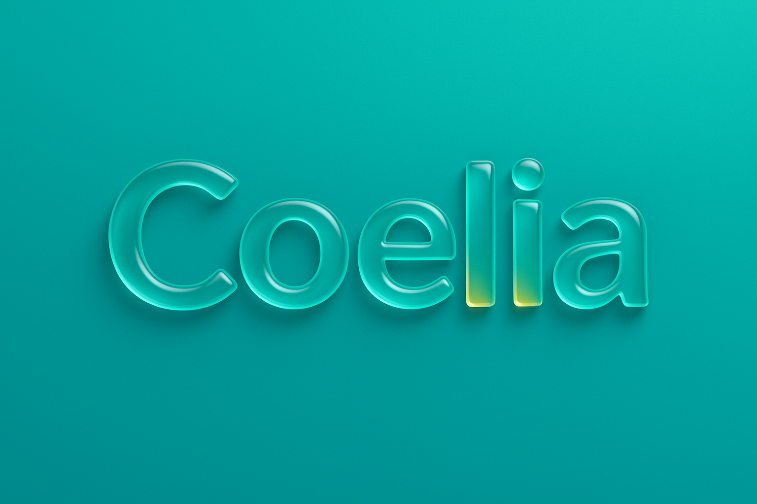 20代から始まる、“つながり”と“挑戦” — Coelia がつくる、新しい社会人サークルのカタチ