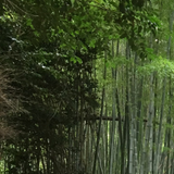 萩原 慎平