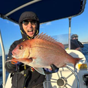 けーき部長 橋本