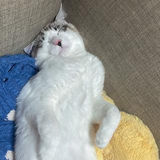 浅見 一輝