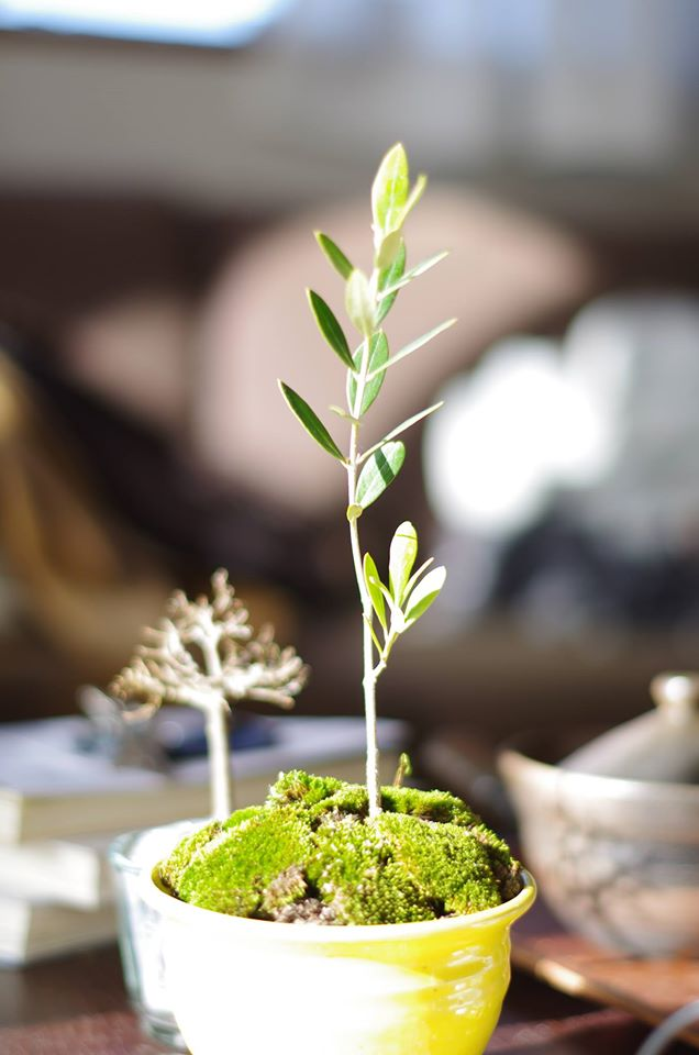 Yoshi Koumei Ishikawa