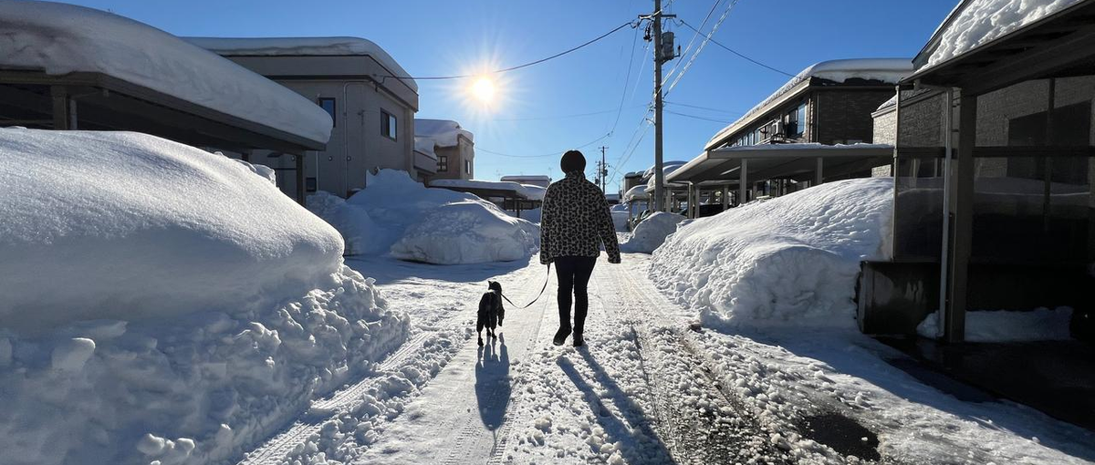 雪の晴れ間に愛犬のおさんぽ、自由と裁量を持って攻めるCS募集！