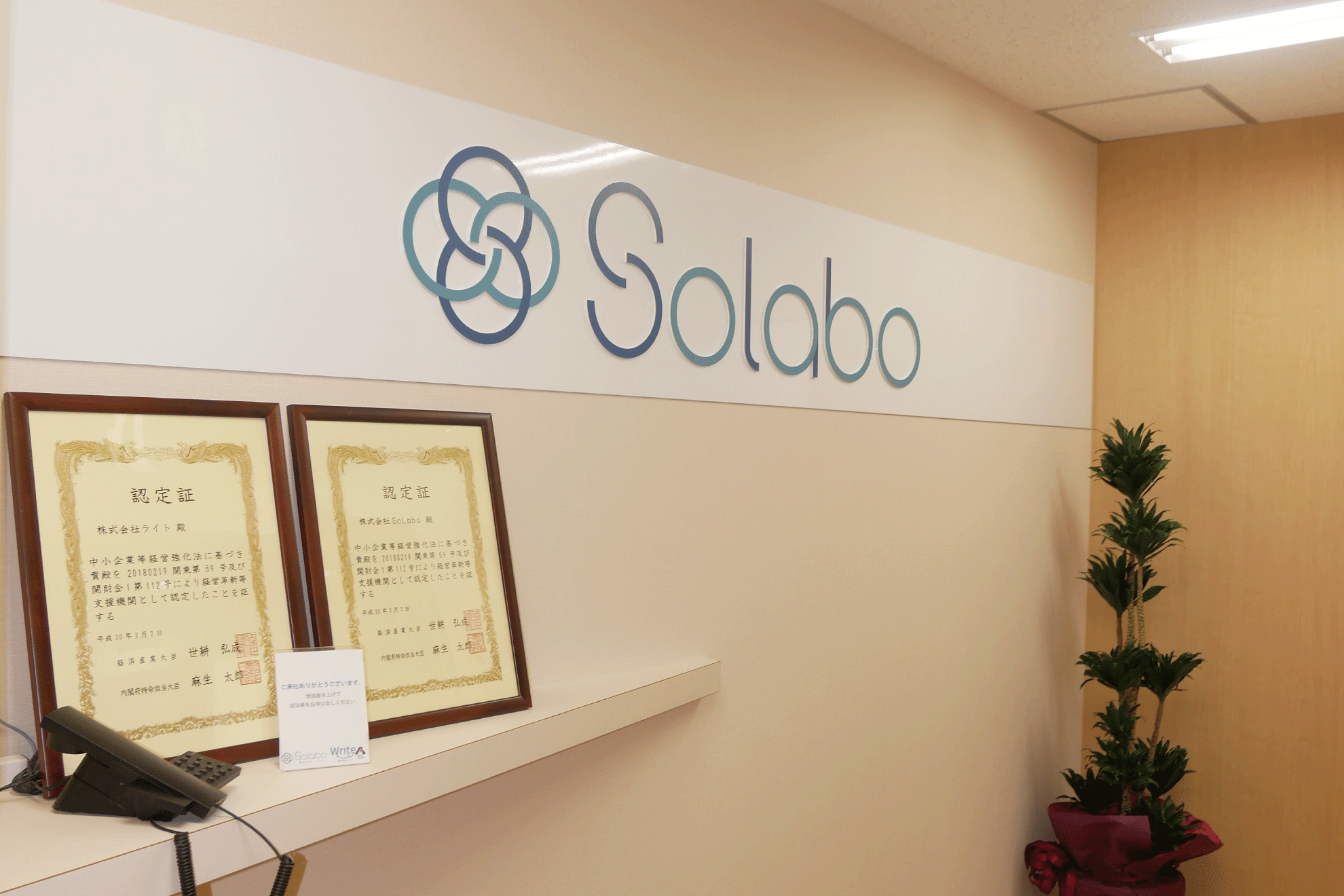 SoLaboインターン生はジーンズにスニーカー出勤！？インターンの些細な疑問を解決