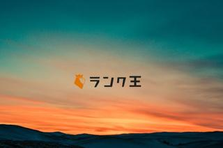 WEBマーケティングを武器に誰もが知るサービス作りに関わりたい人募集