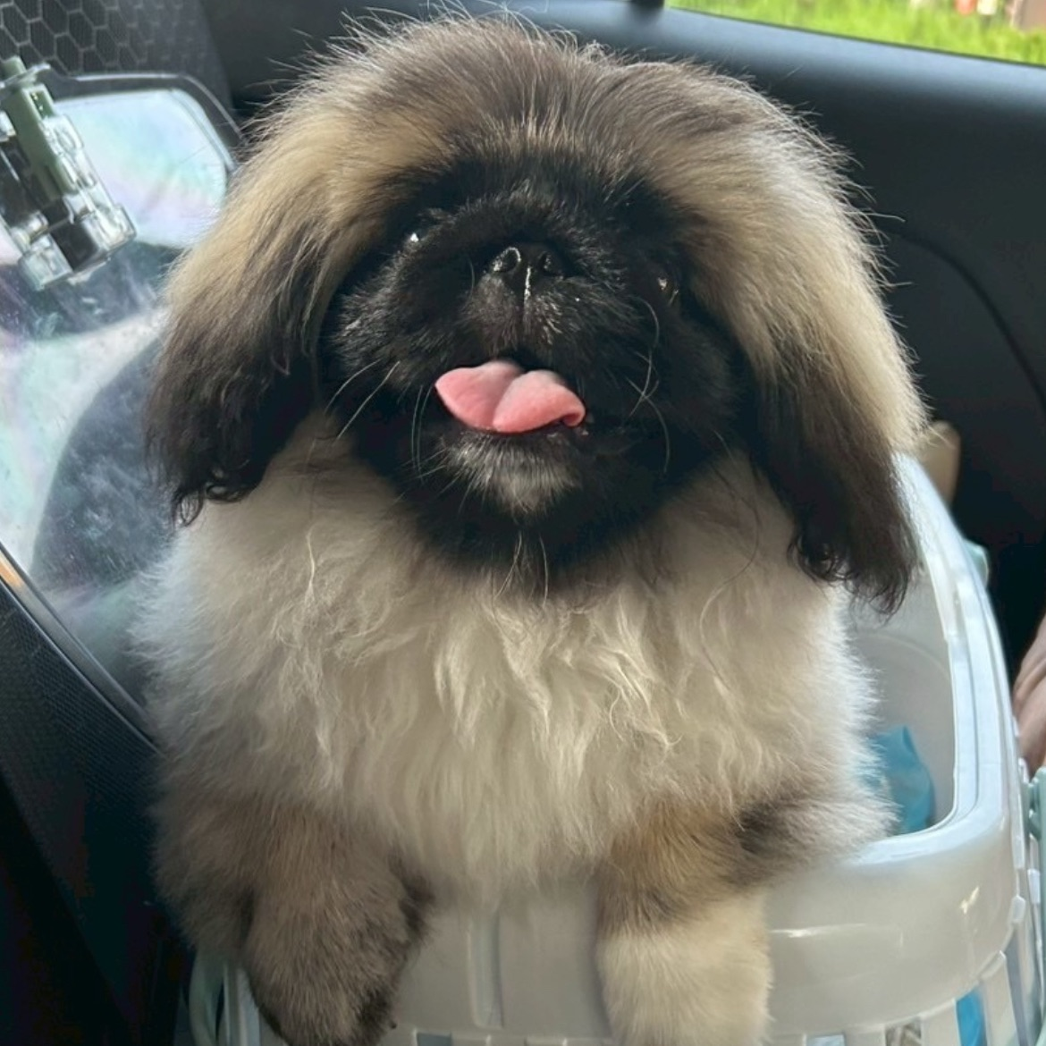 中西 吉紀