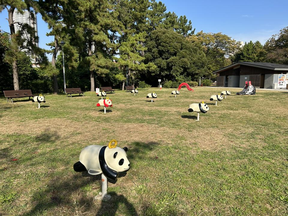 ハニーが行く！辰巳の森緑道公園の「パンダの群れと赤パンダ