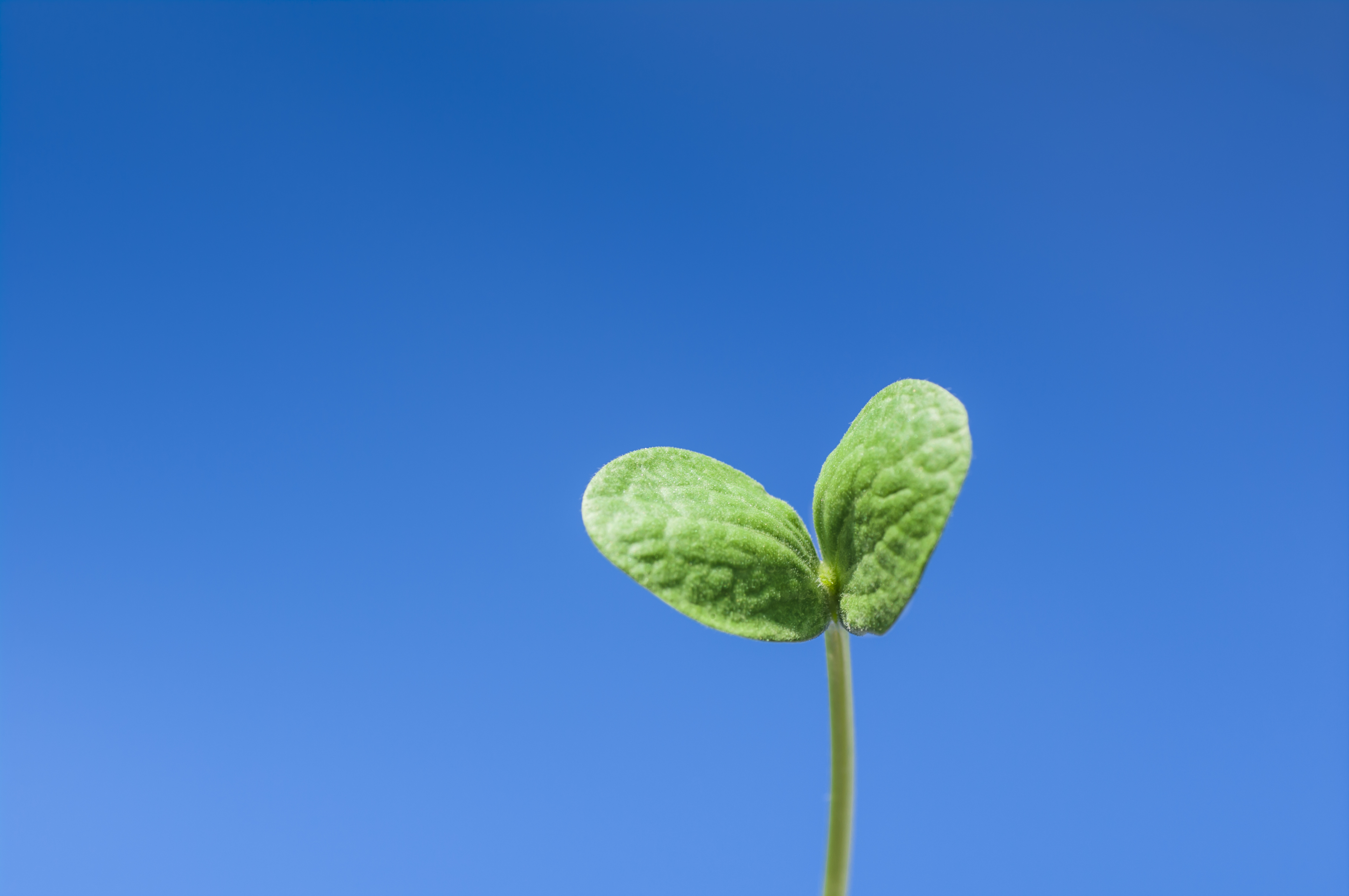 【完全在宅勤務OKの会社方針説明会】〜その内側をご紹介しちゃいます！！！〜