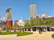 会社の前の公園。とても良い環境です。