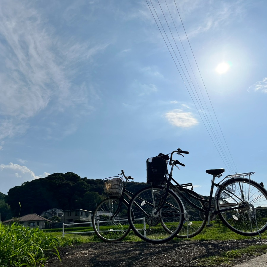山川 翔大
