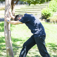 Taisuke Yaguchi