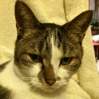 野崎 晋平さんのプロフィール