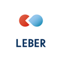 株式会社リーバーの会社情報