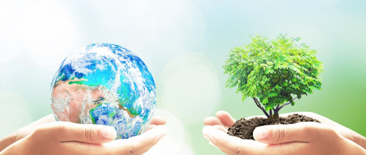 創業メンバー募集！GX/サステナブル領域のスタートアップに挑戦しませんか？