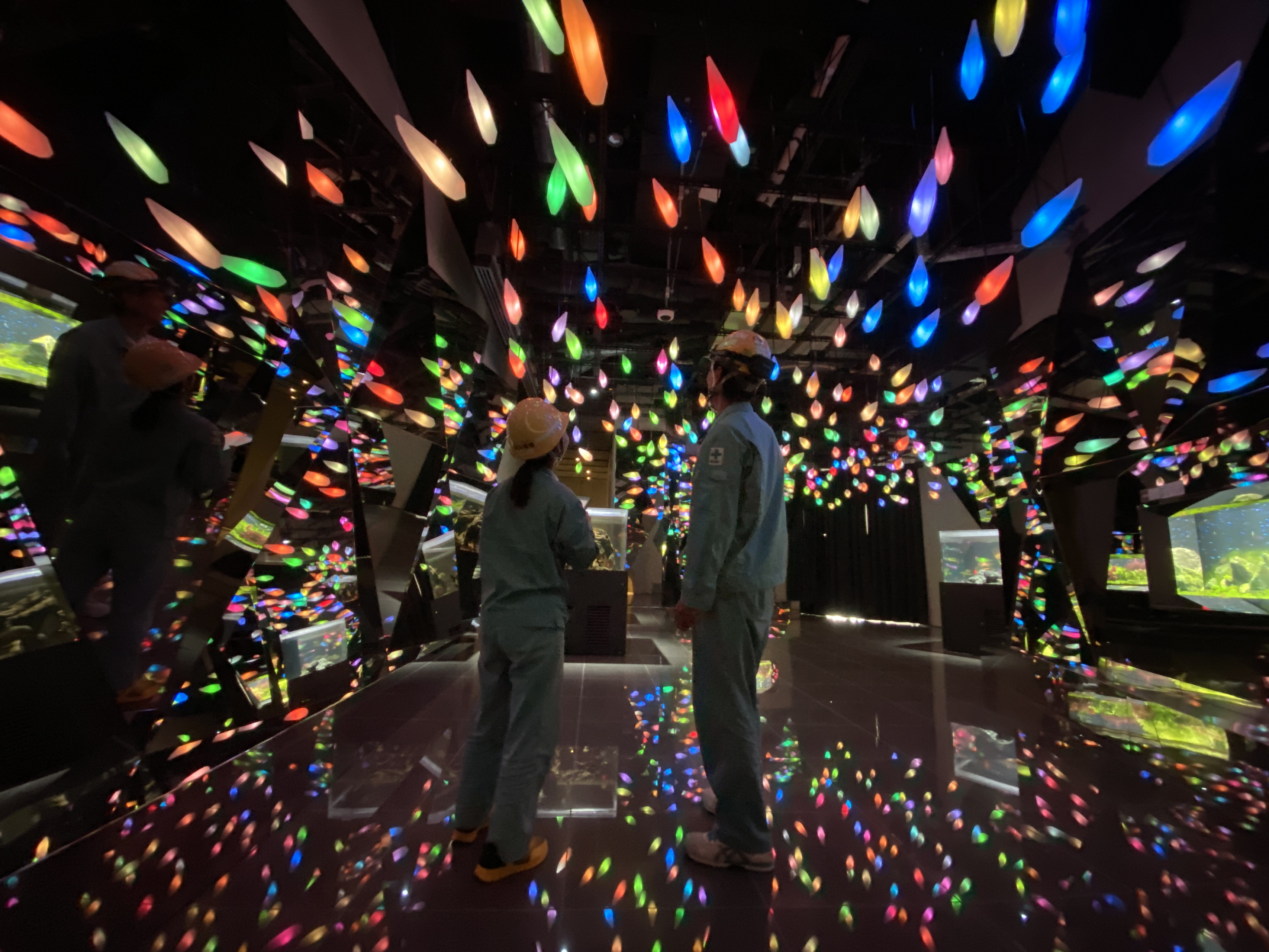 “átoa（アトア）”<次世代劇場型・都市型水族館オープンに向けて>