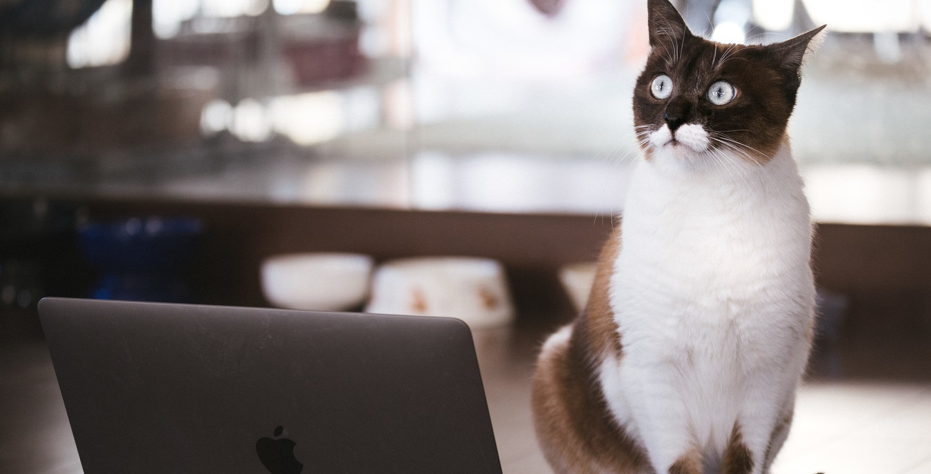 ある経営者声優の1日【フルリモートで働くとこんな感じ】