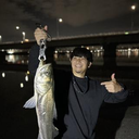 Hiroki Sato