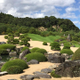 細川 陽子
