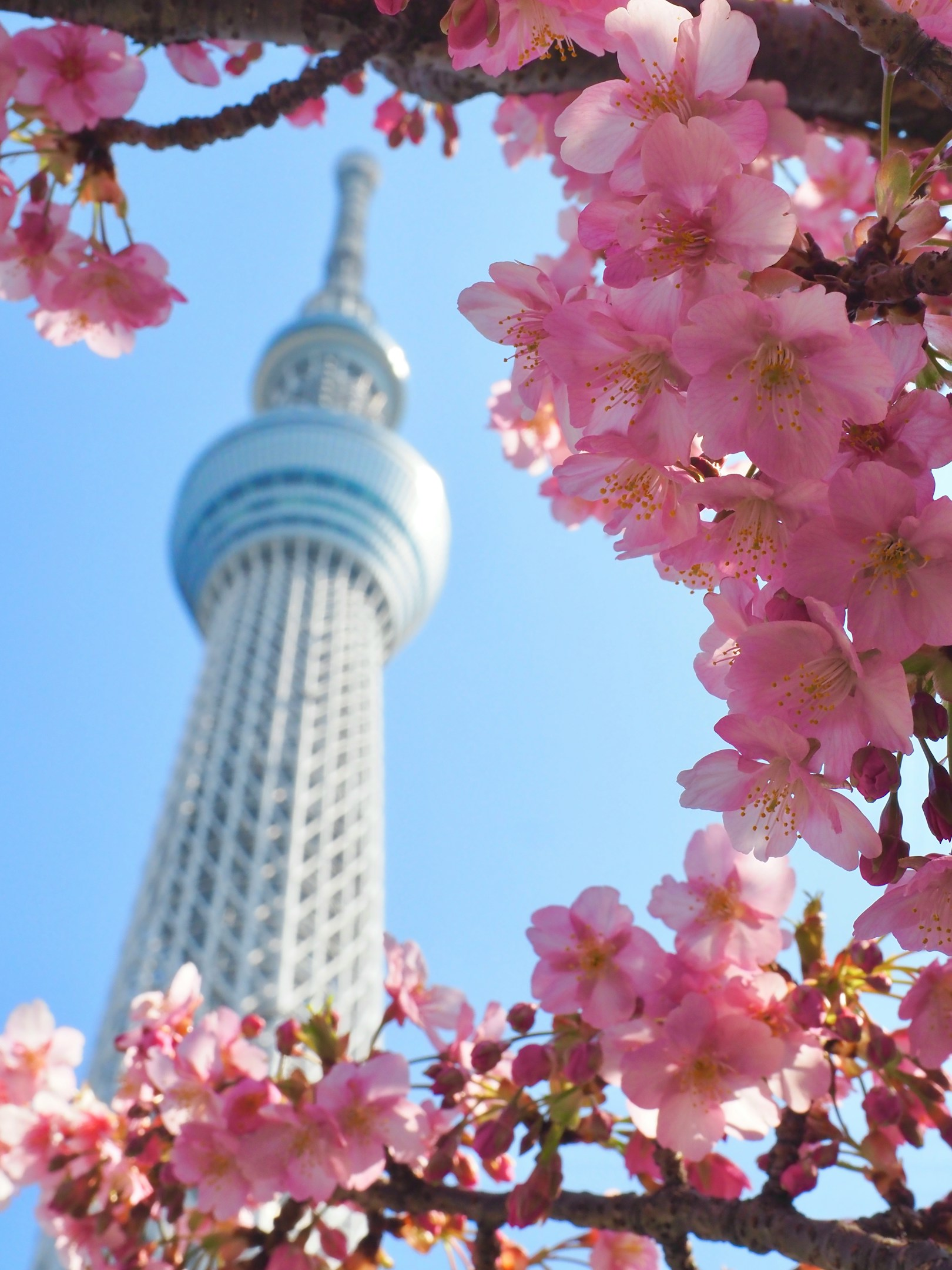 【しがない建築学生のインターン備忘録①】