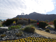 毎年実施しているPalmSpringsツアーの画像です。
