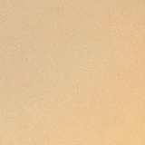 佐藤 悠大