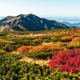 白川 裕太