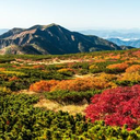 白川 裕太