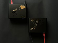 開発製品「MUSHIKAGO」