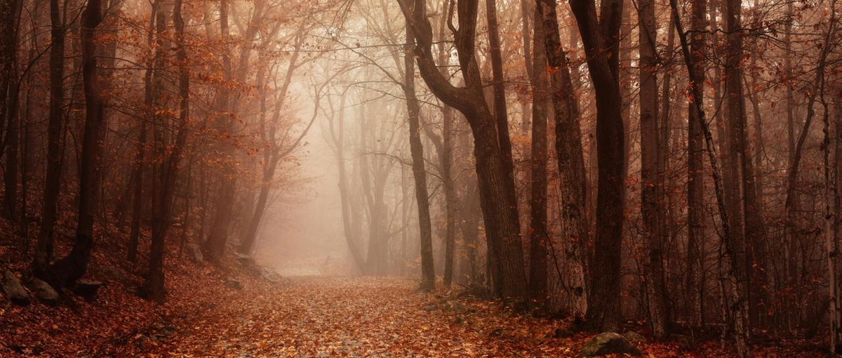 生成AI開発会社でAWS クラウドセキュリティエンジニア募集！