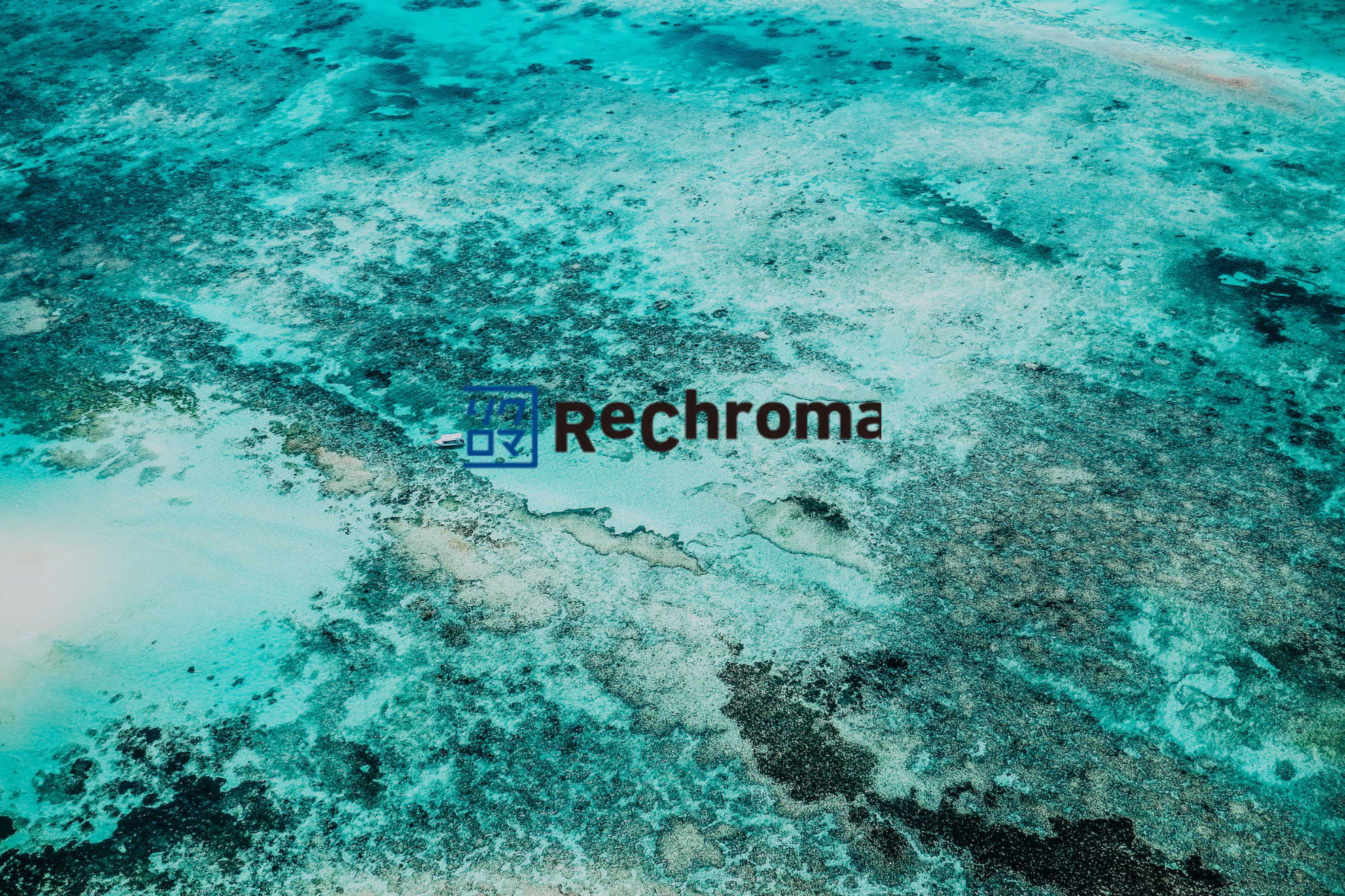 気候変動をビジネスで解決するリクロマの新規事業を紹介