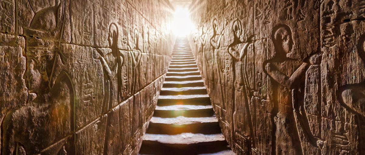 オープンポジション｜貿易会社×飲食でイノベーションを共創する仲間を募集！