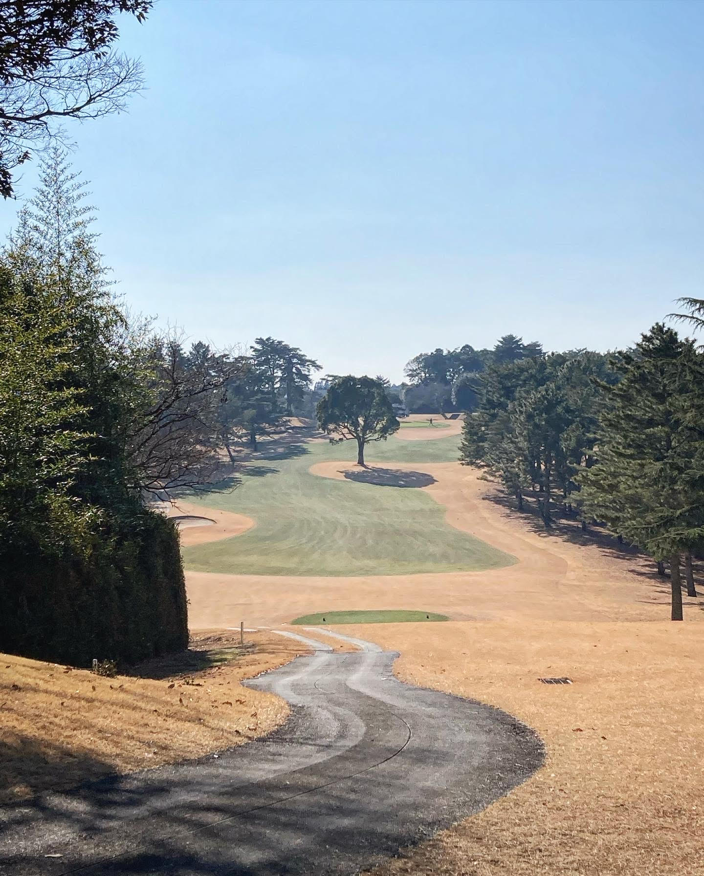 2023年1月～2月度：⛳ゴルフde説明会に関して⛳