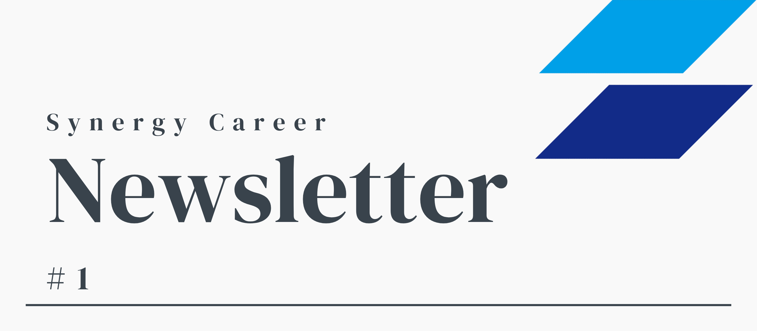 Synergy Career Newsletter #1 — 社員の雰囲気