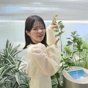 朝倉 彩也香さんのアバター