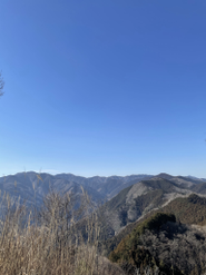 本当に山に登ったりします