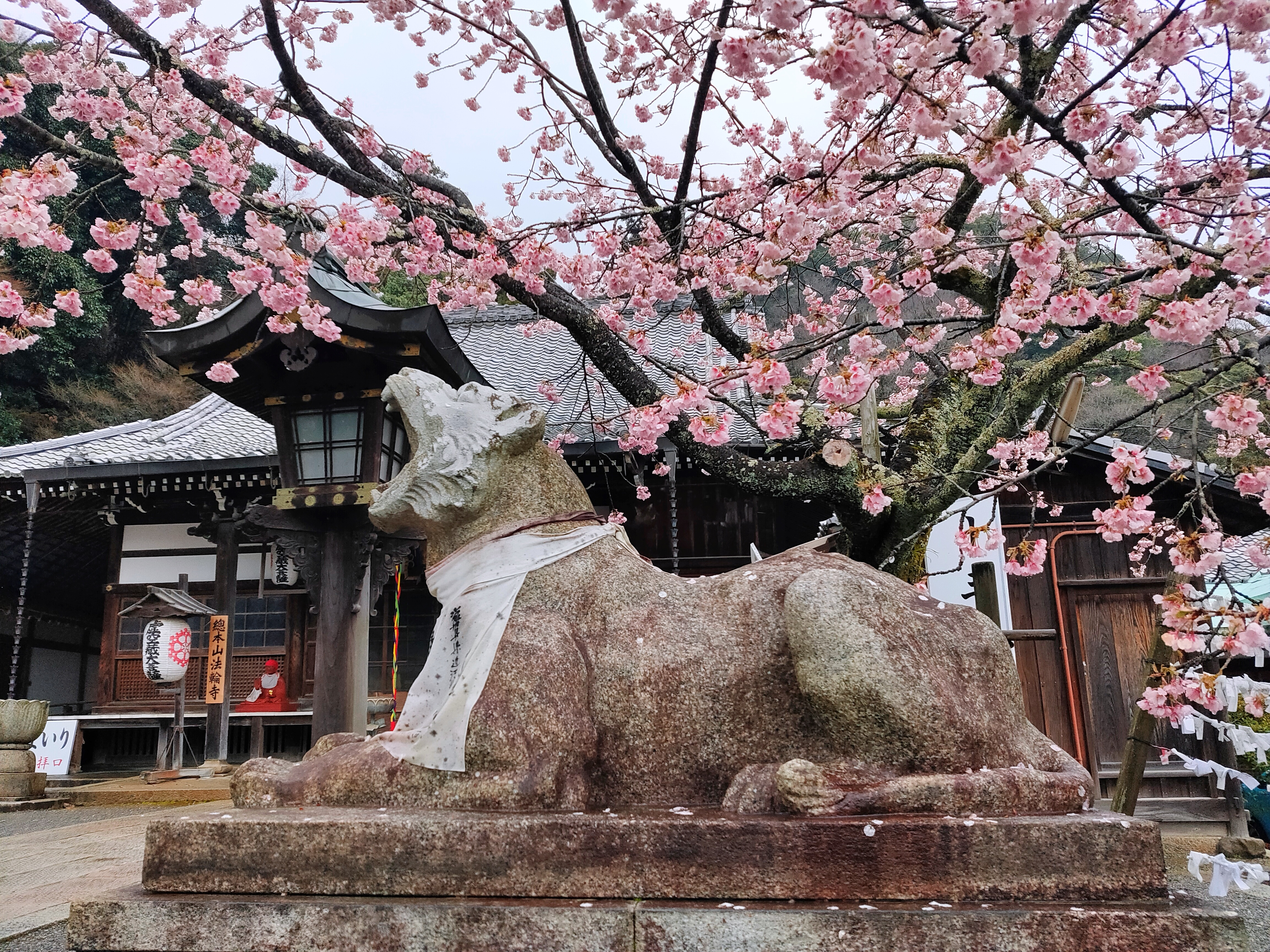 「え、まないたみたい、なまえ」が使えたら教えてほしい。