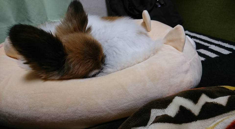 誰もが安心して成長できる組織を目指して