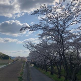 小西 麗華