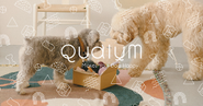 ペット向け「おもちゃ・おやつ」サブスクのQualum