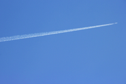 飛行機雲のようにまっすぐに成長出来るように！