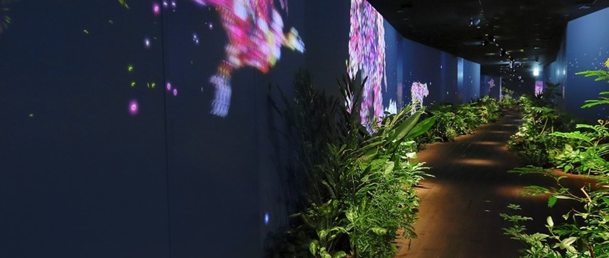 インターネットライブ配信技術を学びながら一緒に業務に臨んで頂ける方募集！