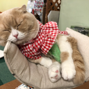 むらかみえりこ