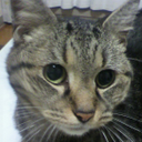 Youko Ushida